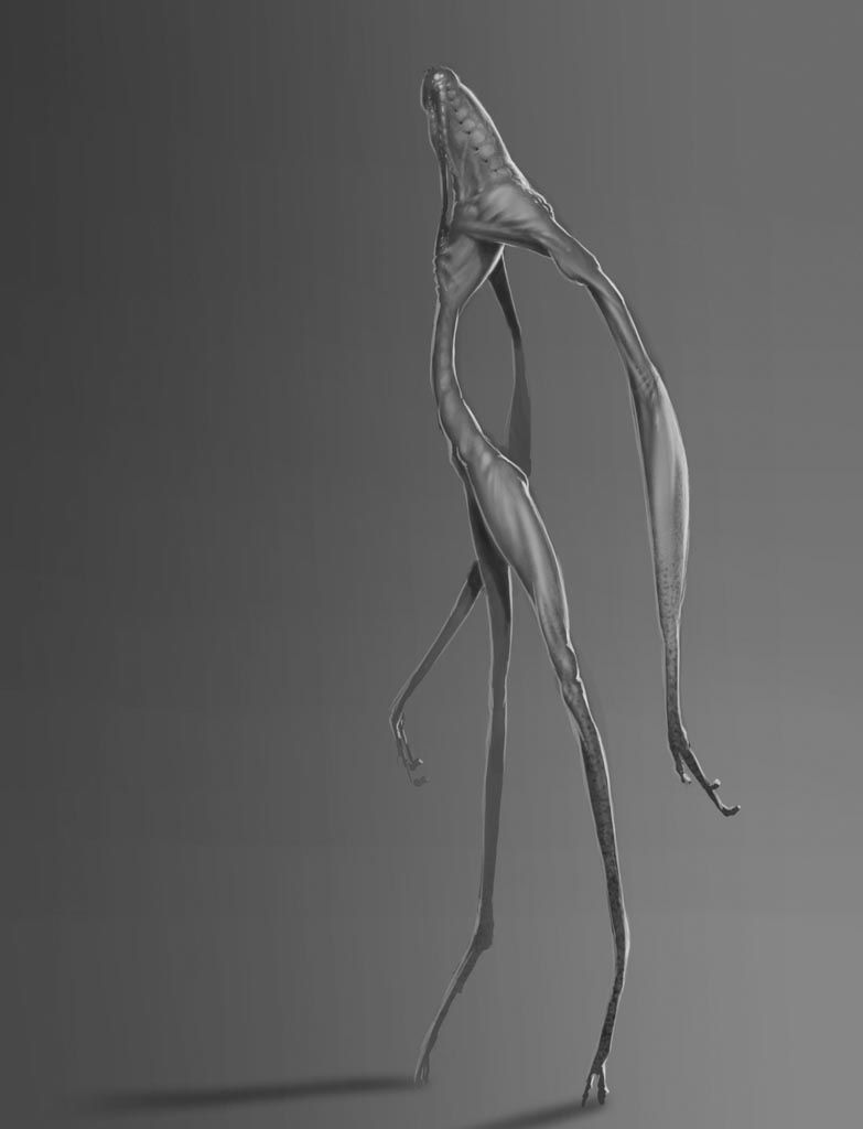 Twig Snap